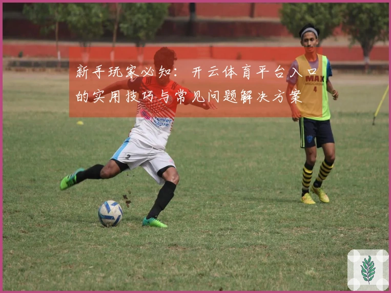 新手玩家必知:开云体育平台入口的实用技巧与常见问题解决方案